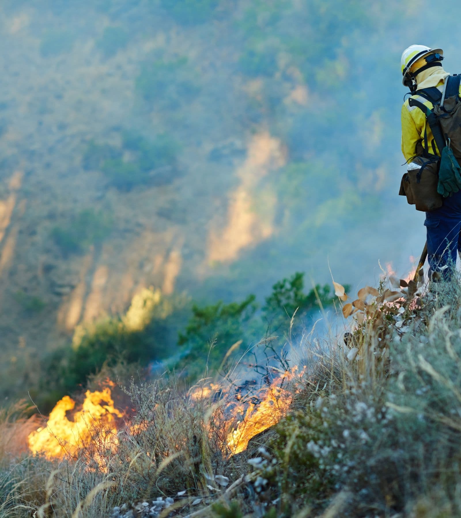 Wildland Firefighter collection